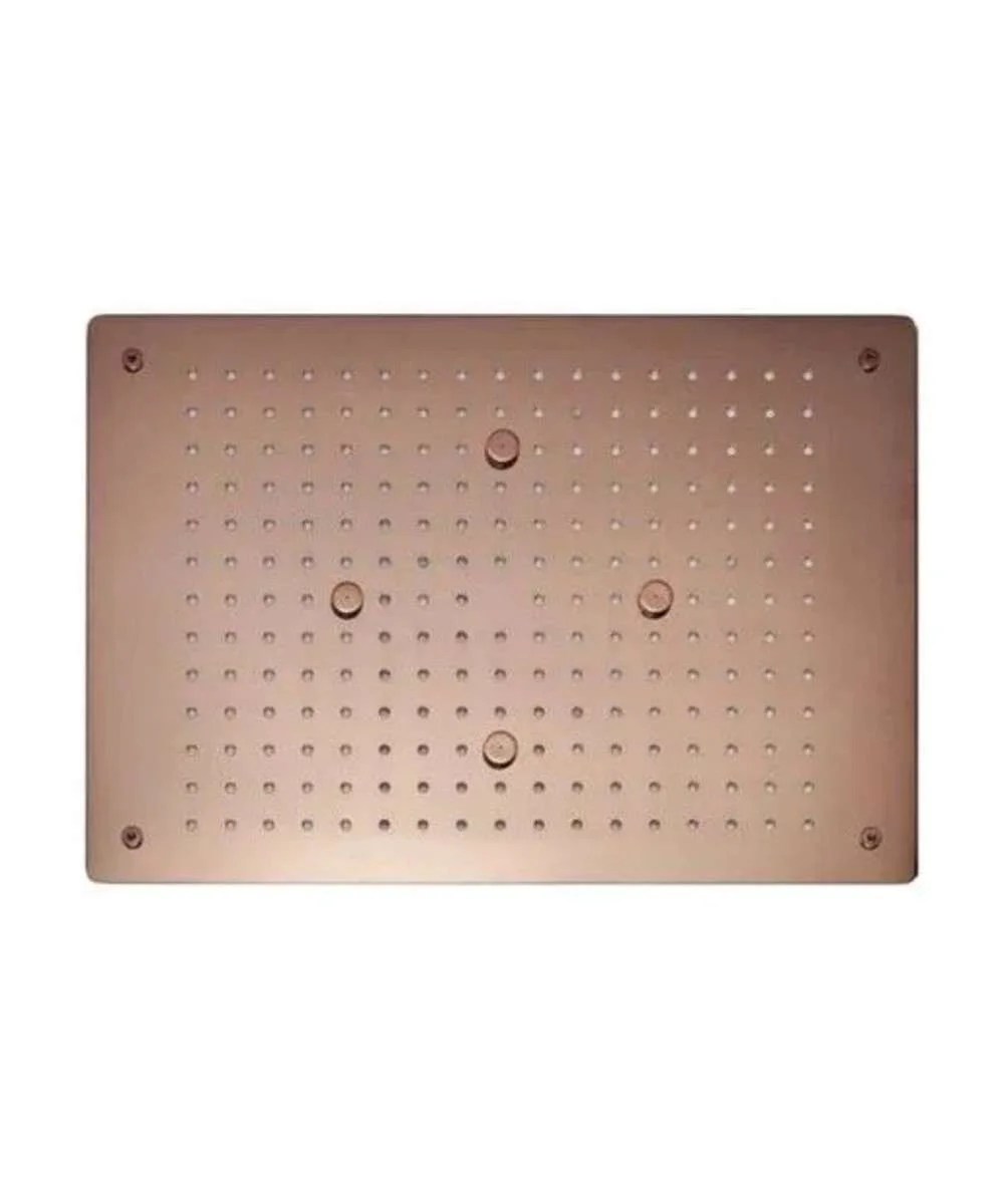 Ceiling Mounted Shower - Image 2