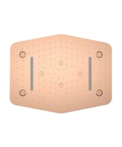 Hex Ceiling Mounted Shower